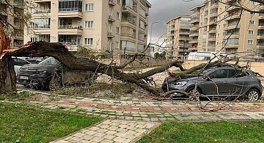 Bursa'da lodos hayatı felç etti: Ağaçları devirdi, çöp konteynerlerini sürükledi
