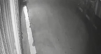 El freni çekilmeyen otomobili lodos sürdü