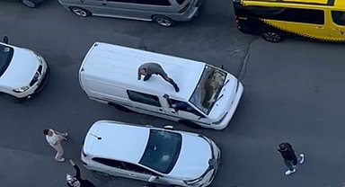 Gaziosmanpaşa'da trafikte tartışan sürücüler birbirlerine balyozla saldırdı