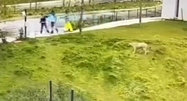 İBB Arıtma Tesisi'nde işlenen korkunç cinayetin görüntüsü ortaya çıktı