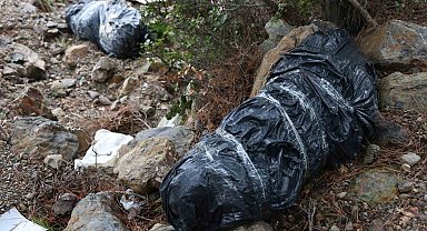 İzmir'de çöp poşetleri içerisinde köpek ölüleri bulundu