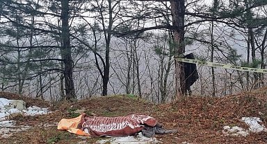 Kestiği ağacın altında kalarak hayatını kaybetti