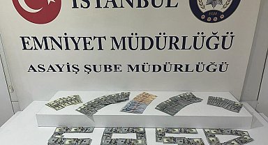 Sultangazi'de yaşlı adama tekme atıp, 14 bin dolarını gasp eden şüpheli kamerada