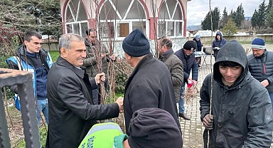 Başkan Avcu, Her Yere Fidan Dağıtımı Gerçekleştiriyor