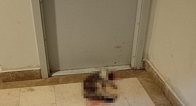Kedi Eros'u darp ederek öldüren İbrahim Keloğlan hakkındaki karar kaldırıldı