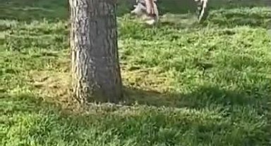 Akran zorbalığı kamerada: Yumruk atıp silah çekti