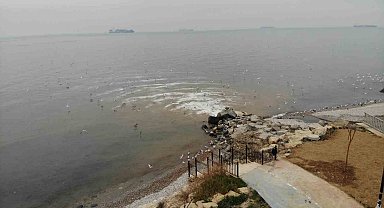 Beylikdüzü'nde kanalizasyon sularının denize aktığı yerde, deniz kahverengi döndü