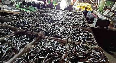 İstanbul'da kaçak avlanmış 8 ton istavrit balığı ele geçirildi