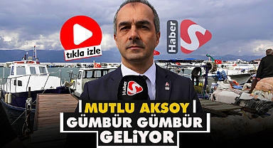 Mutlu Aksoy Gümbür Gümbür Geliyor