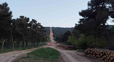 Aydos ormanında çıkan yangın söndürüldü