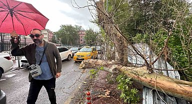 Başkentte şiddetli rüzgar ağaçları devirdi