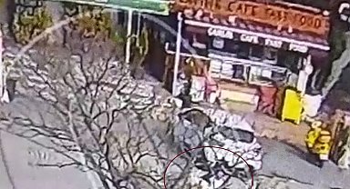 Beylikdüzü'nde pitbull cinsi köpeğin saldırısında dehşet anları kameraya yansıdı