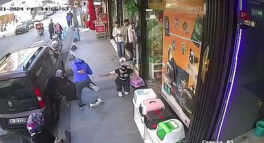 Esenler'de "Yedi Bela Hüsnü" isimli bir kedi, kimseye geçit vermiyor
