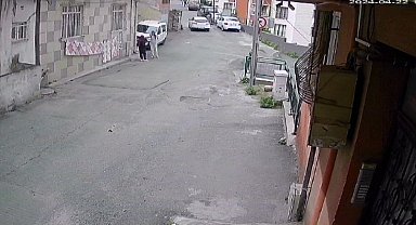 Eyüpsultan'da yavru kediyi ezdi ardından yoluna devam etti, o anlar kamerada