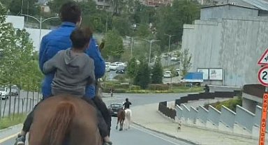 Başakşehir'de trafiğe açık cadde de ilginç görüntü, grup halinde atlarla dolaştılar