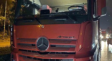Tuzla'da tır kasasında 8 ton midye ele geçirildi