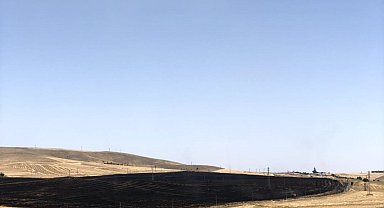 Ankara'da 100 dekarlık buğday tarlası yangını