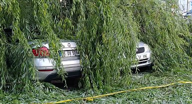 Ankara'da söğüt ağacı park halindeki araçların üzerine devrildi