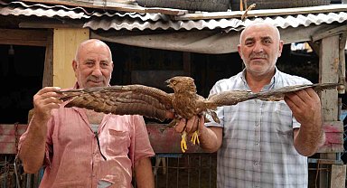 Arnavutköy'de hayvanlarını otlatırken yaralı şahin buldu