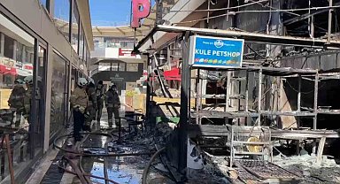 Avcılar'da bir petshopta çıkan yangında faciadan dönüldü