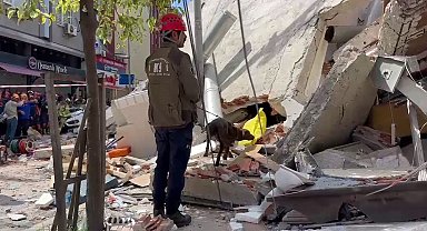 Çöken binanın enkazında köpek ile arama yapılıyor