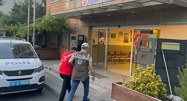 Esenler'de kediyi parçalayan pitbullun sahibi gözaltına alındı