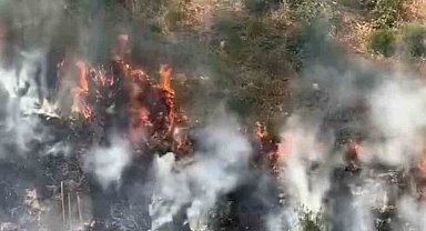 Kağıthane'de otluk alanda yangın: Dumanlar gökyüzünü kapladı, panik yaşandı