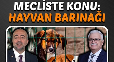 Mecliste Konu Hayvan Barınağı