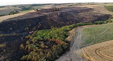 Silivri'de 30 dönümlük buğday tarlası küle döndü