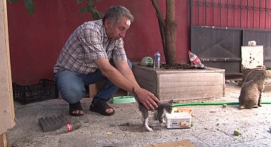 Sokak hayvanlarını beslediği için darp edildi
