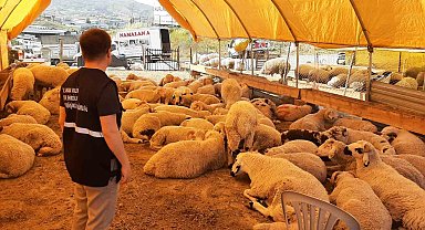 Umuma açık alanlarda kurban kesenlere ceza yağacak