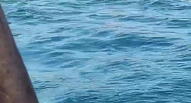 Üsküdar'da vapurdan denize düşen yolcunun kurtarılma anı kamerada