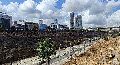 Basın Ekspres Yolu'nda 2 genç yol kenarında bulunan otları ve ağaçları yakıp kaçtı