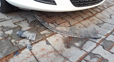 Beylikdüzü'nde sokak köpekleri park halindeki arabayı parçaladı