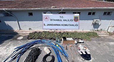 Çatalca'da ormanlık alanda kenevir yetiştiriciliği operasyonu: 6 gözaltı