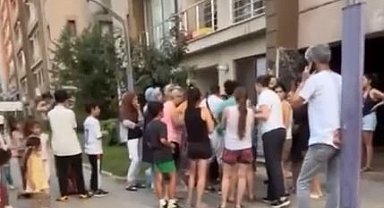 Esenyurt'ta kedi maması tartışmadı kamerada