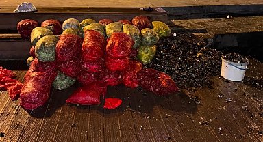 İstanbul'da 1 ton kaçak midye ele geçirildi