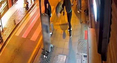 Kağıthane'de köpeklere saldıran "Gri Aslan" lakaplı kedi kamerada: Esnafı canından bezdirdi