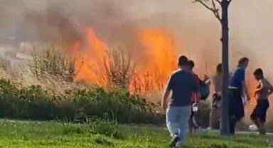 Kartal'da otluk alanda çıkan yangın korkuttu