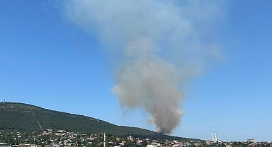 Pendik Aydos Ormanı'nda yangın çıktı. Olay yerine çok sayıda itfaiye ekibi sevk edildi.