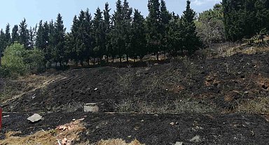 Sancaktepe'de ormanlık alanda yangın