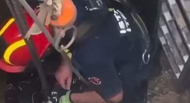 Şantiyede kuyuya düşen keçi itfaiyenin operasyonuyla kurtarıldı