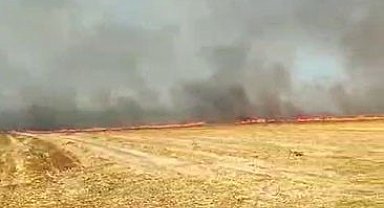 Silivri'de otluk alanda çıkan yangın büyük paniğe neden oldu