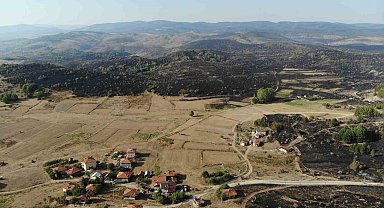 Ankara-Bolu sınırında yanan bölge dronla görüntülendi