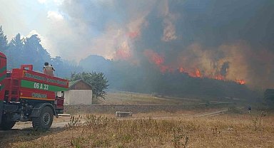 Ankara Kızılcahamam'da ormanlık alanda yangın çıktı
