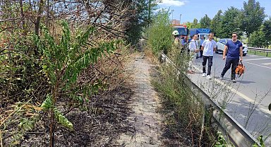 Bakırköy'de E5 kenarında korkutan yangın