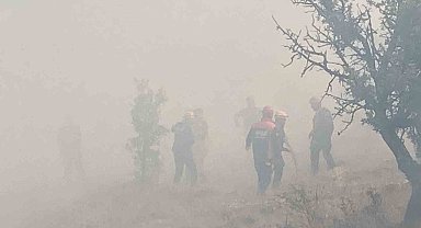 Bolu'da kontrol altına alınan yangın tekrar alevlendi