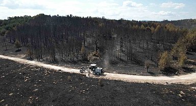Bolu'da söndürülen yangının feci boyutu gün ağarınca ortaya çıktı