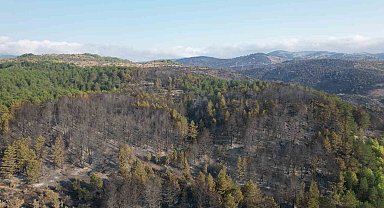 Bolu'daki yangından etkilenen alanda söndürme ve soğutma çalışmaları sürüyor