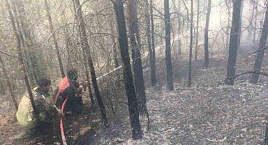 Çamlıdere'deki ot yangını ormanlık alana sıçradı